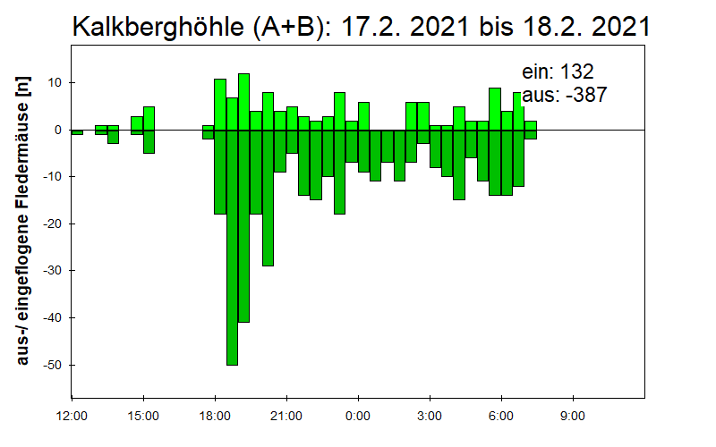 [Fledermaus] Lichtschranke: Segeberger Kalkberg (NABU Schleswig-Holstein)