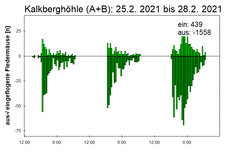 [Fledermaus] Lichtschranke: Segeberger Kalkberg (NABU Schleswig-Holstein)
