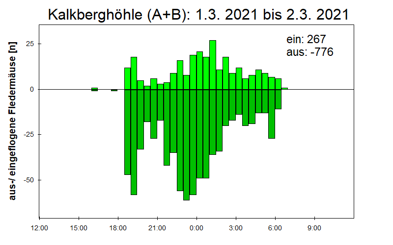 [Fledermaus] Lichtschranke: Segeberger Kalkberg (NABU Schleswig-Holstein)