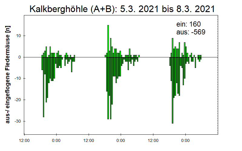 [Fledermaus] Lichtschranke: Segeberger Kalkberg (NABU Schleswig-Holstein)