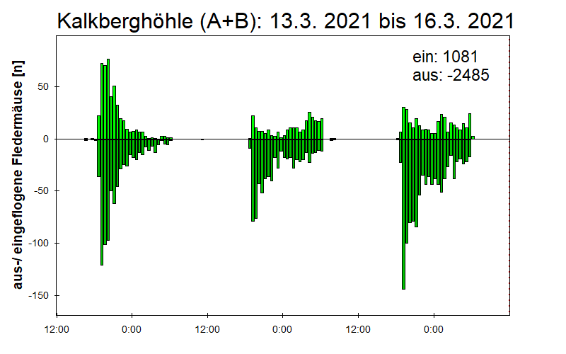 [Fledermaus] Lichtschranke: Segeberger Kalkberg (NABU Schleswig-Holstein)