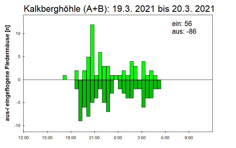[Fledermaus] Lichtschranke: Segeberger Kalkberg (NABU Schleswig-Holstein)