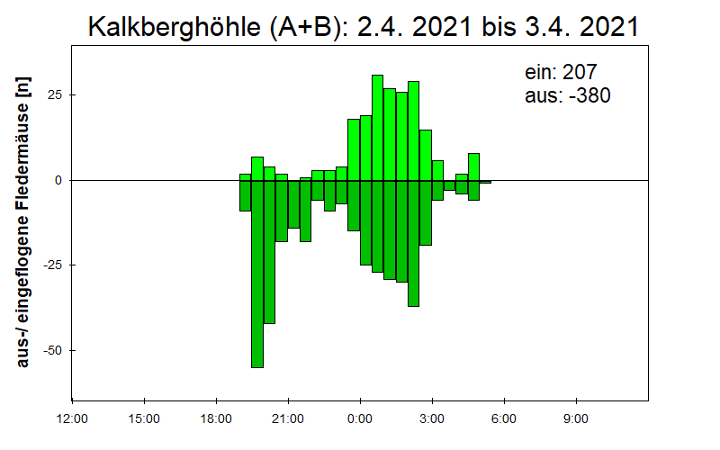[Fledermaus] Lichtschranke: Segeberger Kalkberg (NABU Schleswig-Holstein)