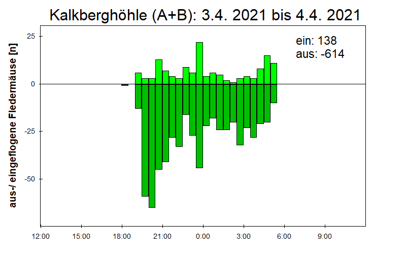 [Fledermaus] Lichtschranke: Segeberger Kalkberg (NABU Schleswig-Holstein)