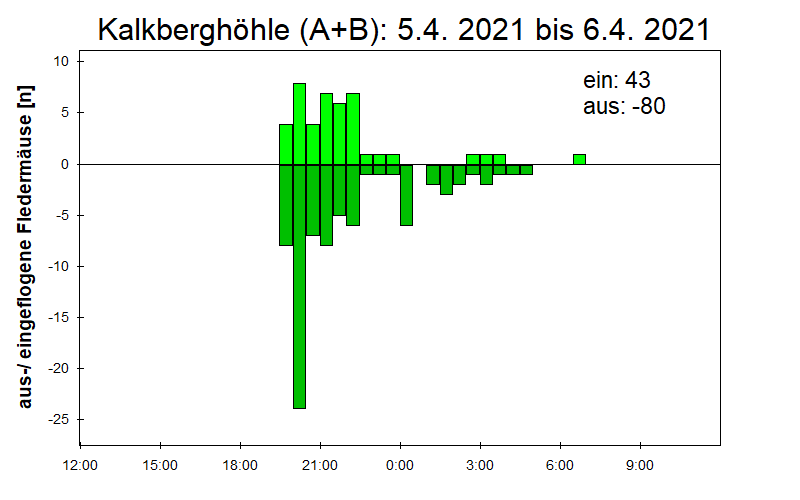 [Fledermaus] Lichtschranke: Segeberger Kalkberg (NABU Schleswig-Holstein)