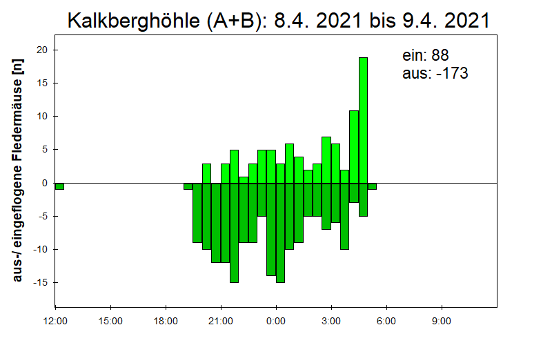 [Fledermaus] Lichtschranke: Segeberger Kalkberg (NABU Schleswig-Holstein)