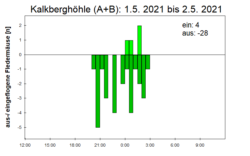 [Fledermaus] Lichtschranke: Segeberger Kalkberg (NABU Schleswig-Holstein)