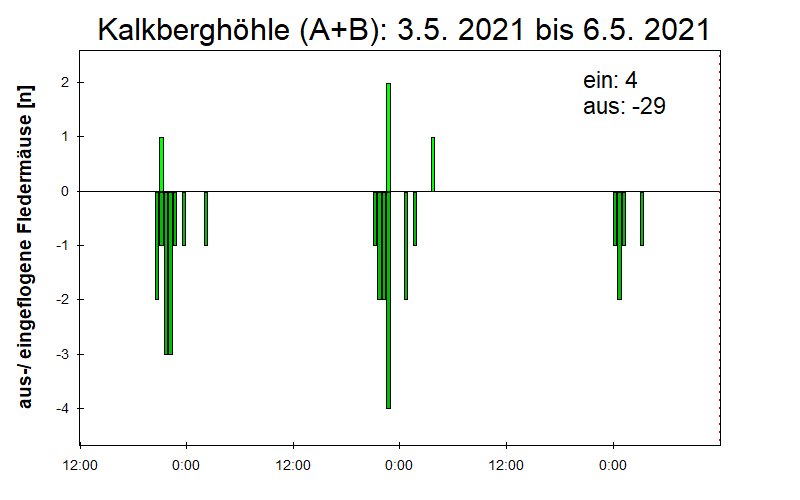 [Fledermaus] Lichtschranke: Segeberger Kalkberg (NABU Schleswig-Holstein)