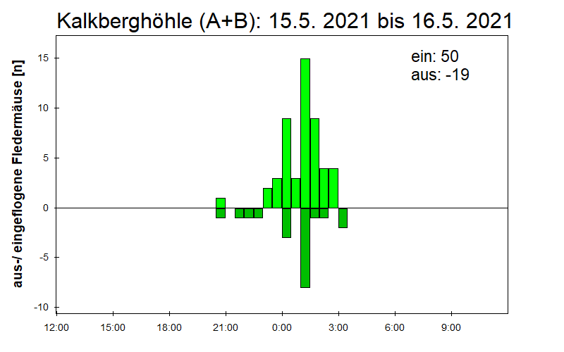 [Fledermaus] Lichtschranke: Segeberger Kalkberg (NABU Schleswig-Holstein)