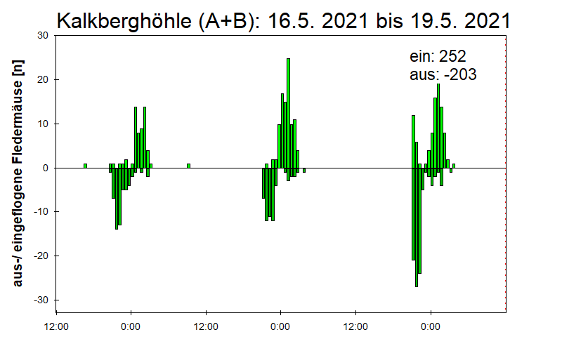 [Fledermaus] Lichtschranke: Segeberger Kalkberg (NABU Schleswig-Holstein)