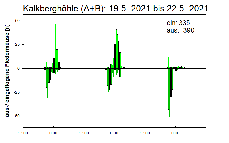 [Fledermaus] Lichtschranke: Segeberger Kalkberg (NABU Schleswig-Holstein)