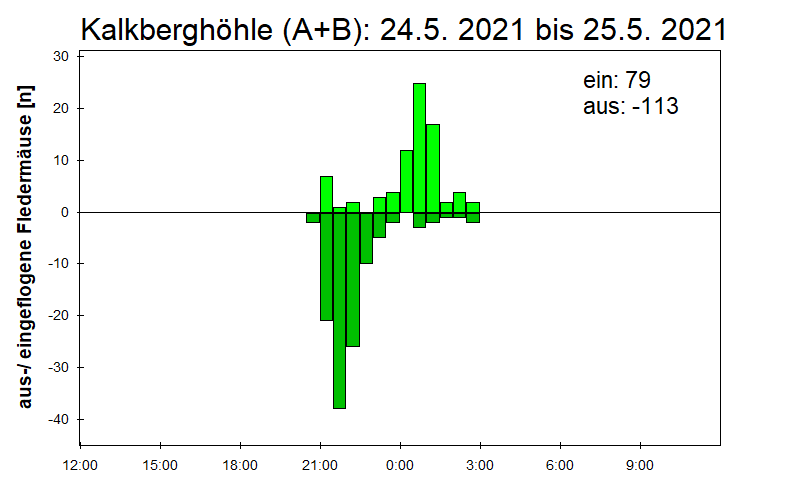 [Fledermaus] Lichtschranke: Segeberger Kalkberg (NABU Schleswig-Holstein)