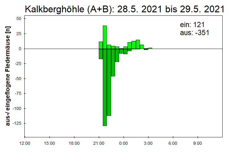 [Fledermaus] Lichtschranke: Segeberger Kalkberg (NABU Schleswig-Holstein)