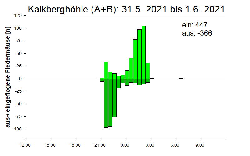 [Fledermaus] Lichtschranke: Segeberger Kalkberg (NABU Schleswig-Holstein)