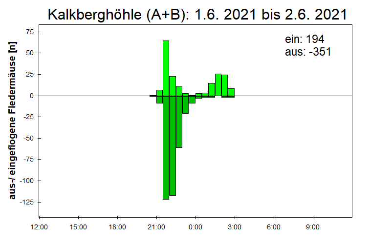 [Fledermaus] Lichtschranke: Segeberger Kalkberg (NABU Schleswig-Holstein)