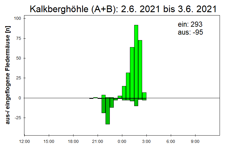 [Fledermaus] Lichtschranke: Segeberger Kalkberg (NABU Schleswig-Holstein)