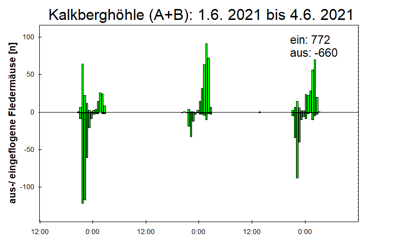 [Fledermaus] Lichtschranke: Segeberger Kalkberg (NABU Schleswig-Holstein)