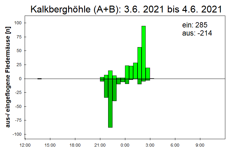 [Fledermaus] Lichtschranke: Segeberger Kalkberg (NABU Schleswig-Holstein)
