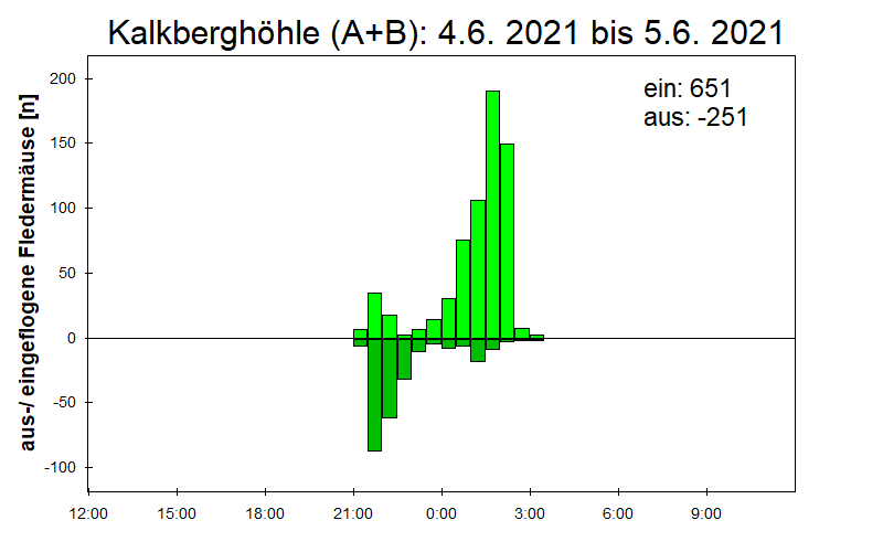 [Fledermaus] Lichtschranke: Segeberger Kalkberg (NABU Schleswig-Holstein)