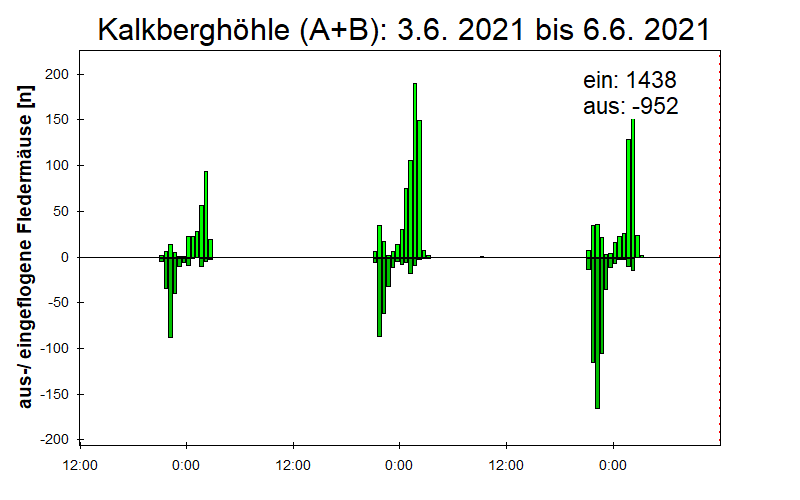 [Fledermaus] Lichtschranke: Segeberger Kalkberg (NABU Schleswig-Holstein)