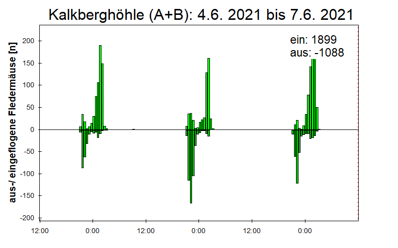[Fledermaus] Lichtschranke: Segeberger Kalkberg (NABU Schleswig-Holstein)