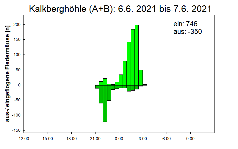 [Fledermaus] Lichtschranke: Segeberger Kalkberg (NABU Schleswig-Holstein)
