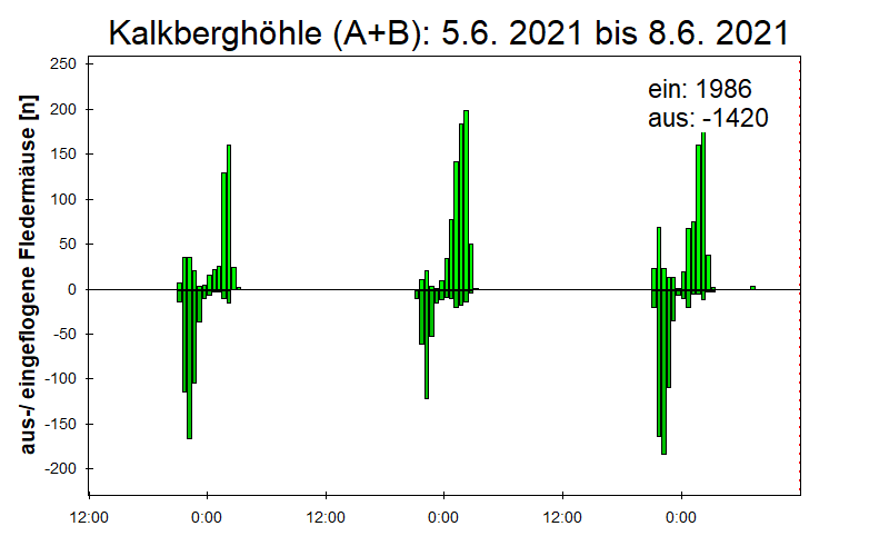 [Fledermaus] Lichtschranke: Segeberger Kalkberg (NABU Schleswig-Holstein)