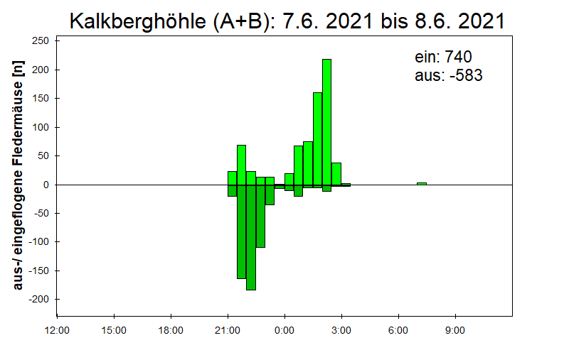 [Fledermaus] Lichtschranke: Segeberger Kalkberg (NABU Schleswig-Holstein)