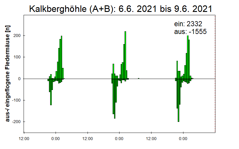 [Fledermaus] Lichtschranke: Segeberger Kalkberg (NABU Schleswig-Holstein)