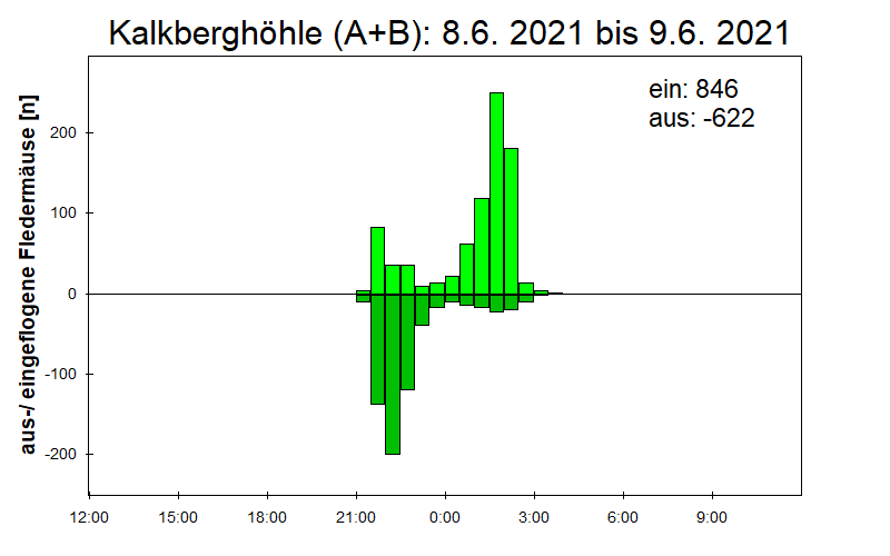 [Fledermaus] Lichtschranke: Segeberger Kalkberg (NABU Schleswig-Holstein)
