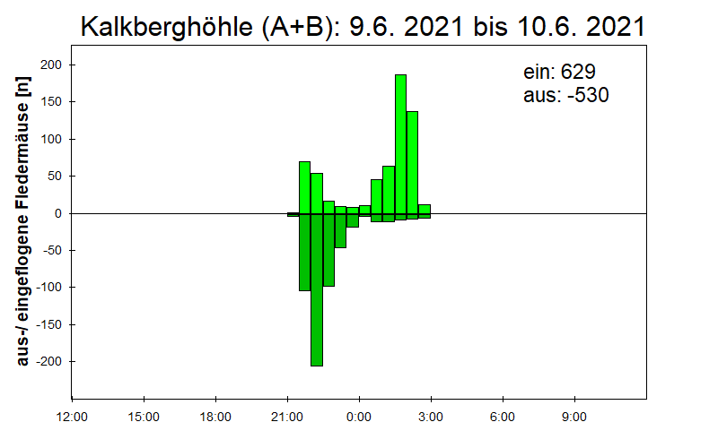 [Fledermaus] Lichtschranke: Segeberger Kalkberg (NABU Schleswig-Holstein)