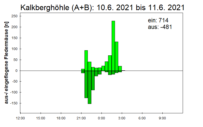 [Fledermaus] Lichtschranke: Segeberger Kalkberg (NABU Schleswig-Holstein)