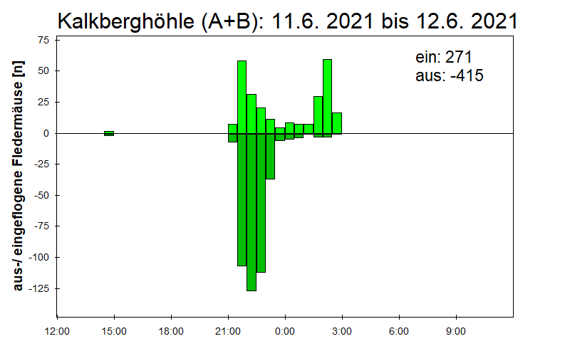 [Fledermaus] Lichtschranke: Segeberger Kalkberg (NABU Schleswig-Holstein)