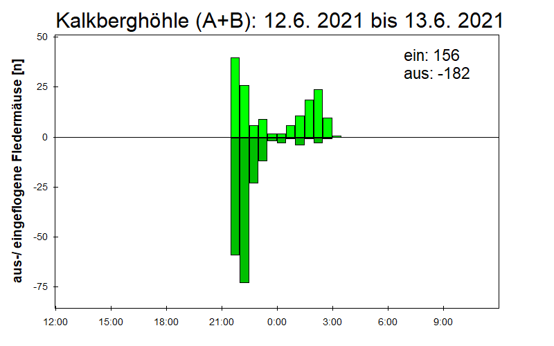 [Fledermaus] Lichtschranke: Segeberger Kalkberg (NABU Schleswig-Holstein)