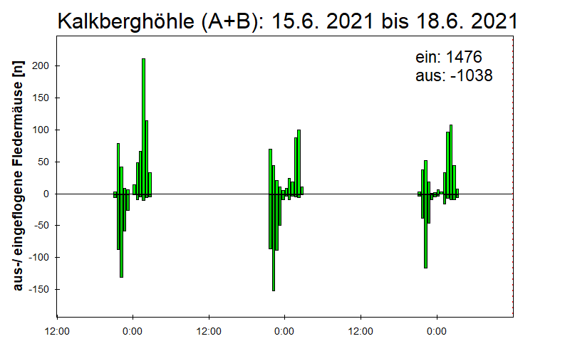 [Fledermaus] Lichtschranke: Segeberger Kalkberg (NABU Schleswig-Holstein)