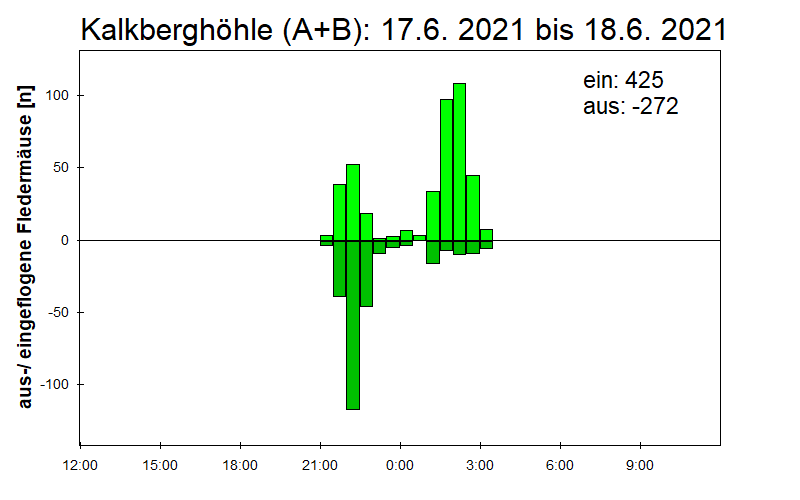 [Fledermaus] Lichtschranke: Segeberger Kalkberg (NABU Schleswig-Holstein)