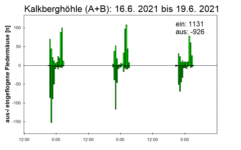 [Fledermaus] Lichtschranke: Segeberger Kalkberg (NABU Schleswig-Holstein)