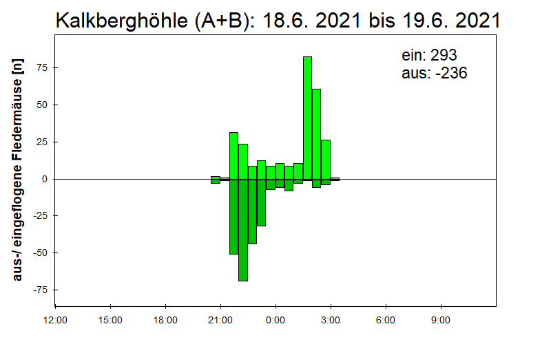 [Fledermaus] Lichtschranke: Segeberger Kalkberg (NABU Schleswig-Holstein)
