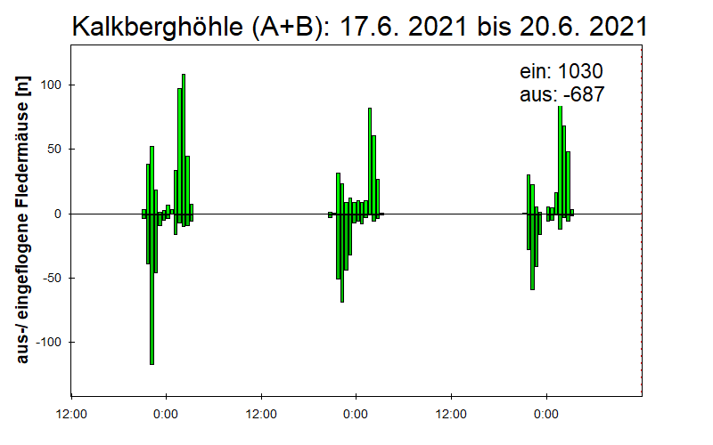 [Fledermaus] Lichtschranke: Segeberger Kalkberg (NABU Schleswig-Holstein)