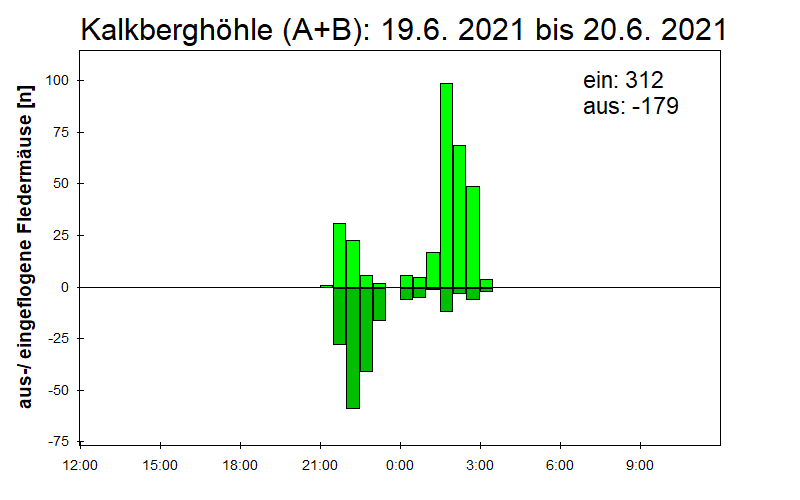 [Fledermaus] Lichtschranke: Segeberger Kalkberg (NABU Schleswig-Holstein)
