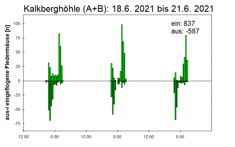 [Fledermaus] Lichtschranke: Segeberger Kalkberg (NABU Schleswig-Holstein)