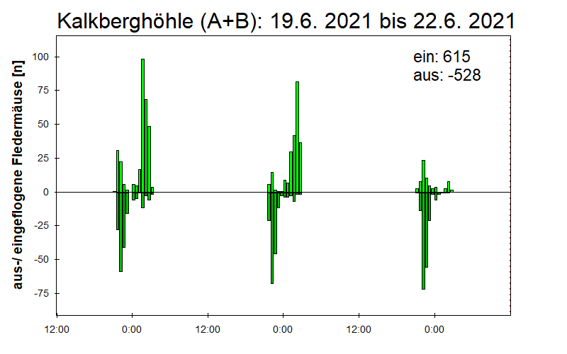 [Fledermaus] Lichtschranke: Segeberger Kalkberg (NABU Schleswig-Holstein)