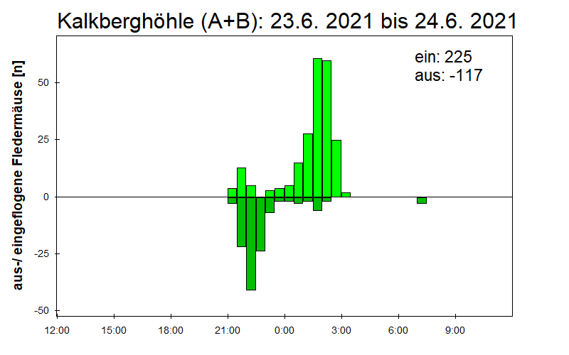 [Fledermaus] Lichtschranke: Segeberger Kalkberg (NABU Schleswig-Holstein)