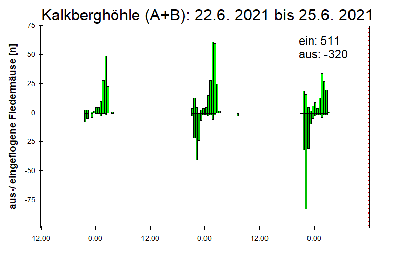 [Fledermaus] Lichtschranke: Segeberger Kalkberg (NABU Schleswig-Holstein)