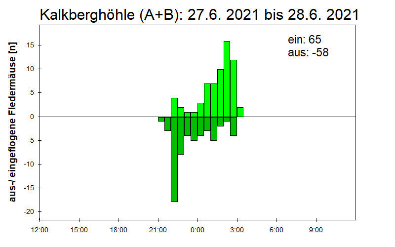 [Fledermaus] Lichtschranke: Segeberger Kalkberg (NABU Schleswig-Holstein)
