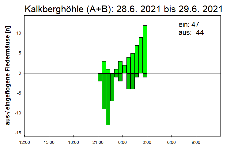 [Fledermaus] Lichtschranke: Segeberger Kalkberg (NABU Schleswig-Holstein)