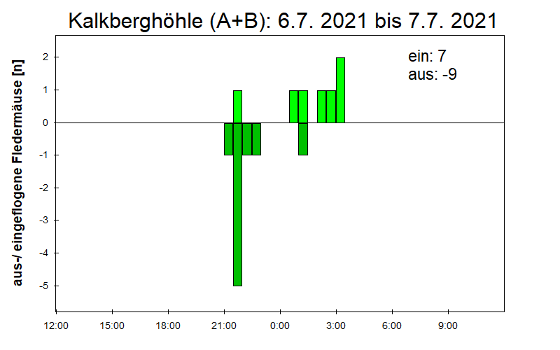 [Fledermaus] Lichtschranke: Segeberger Kalkberg (NABU Schleswig-Holstein)