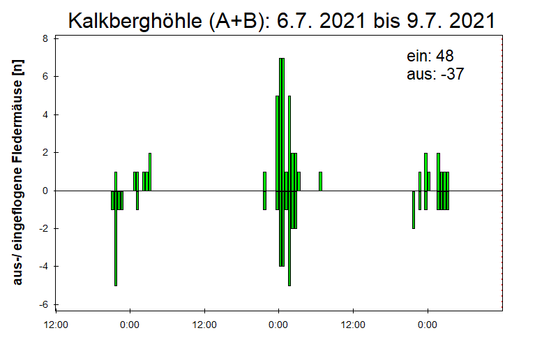 [Fledermaus] Lichtschranke: Segeberger Kalkberg (NABU Schleswig-Holstein)