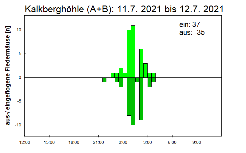 [Fledermaus] Lichtschranke: Segeberger Kalkberg (NABU Schleswig-Holstein)