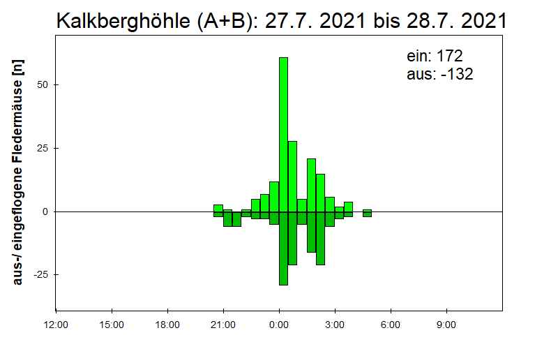[Fledermaus] Lichtschranke: Segeberger Kalkberg (NABU Schleswig-Holstein)